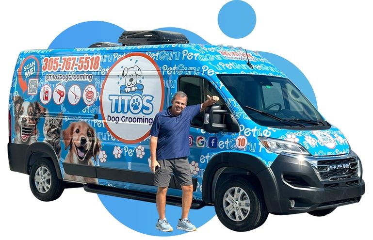 pet grooming in miami