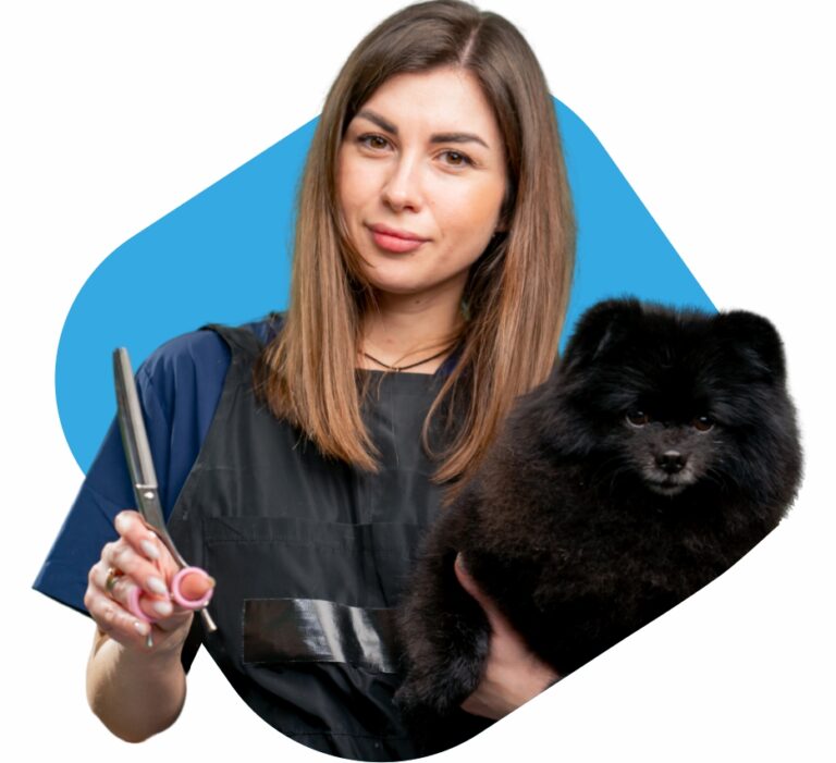 pet grooming near me