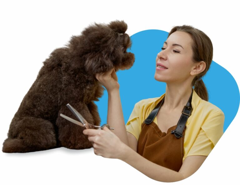 pet grooming miami