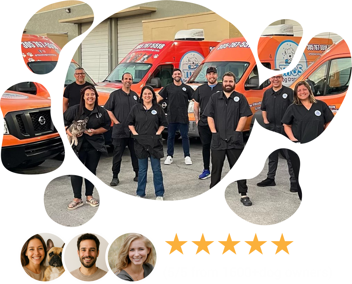 mobile dog groomer